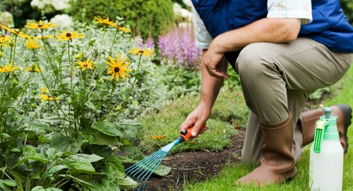 Neatly trimmed hedges in a Hatch End backyard